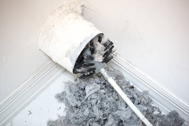 Best Air Duct Mold Removal  in Pulaski, NY